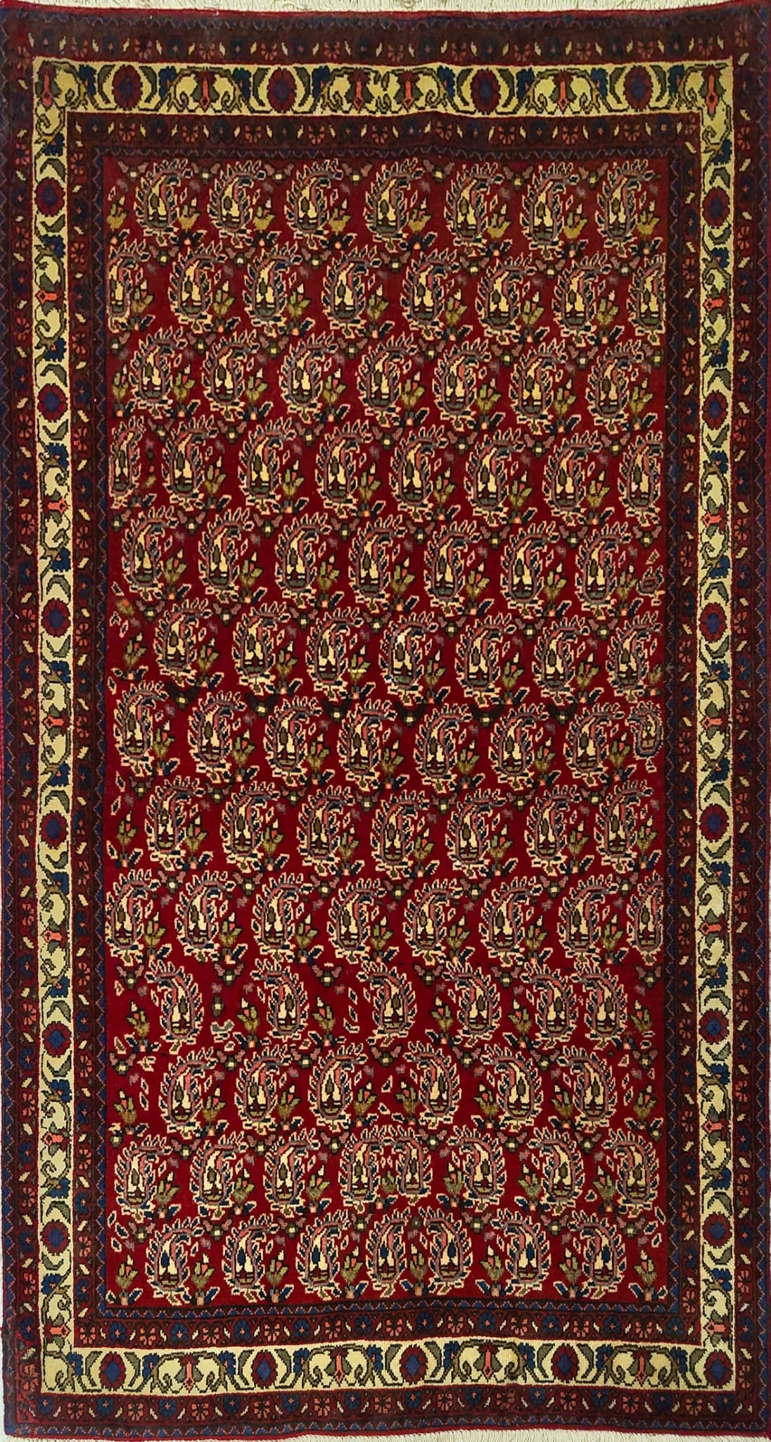 Authentic Persian Rug – All-Over Motif