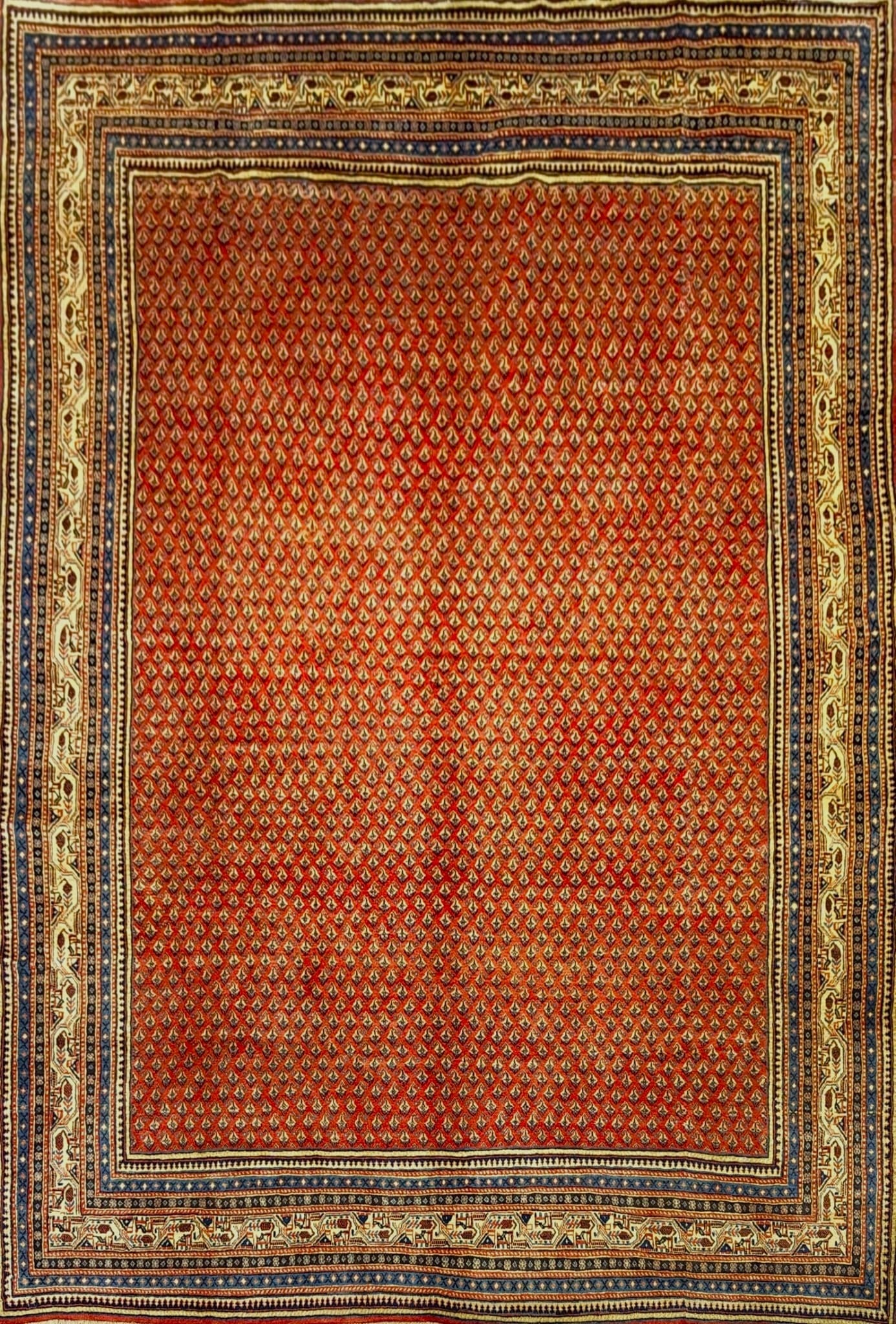 Authentic Persian Rug – All-Over Motif