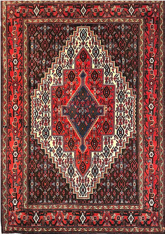 Handwoven Sanandaj Rug with nan Pattern
