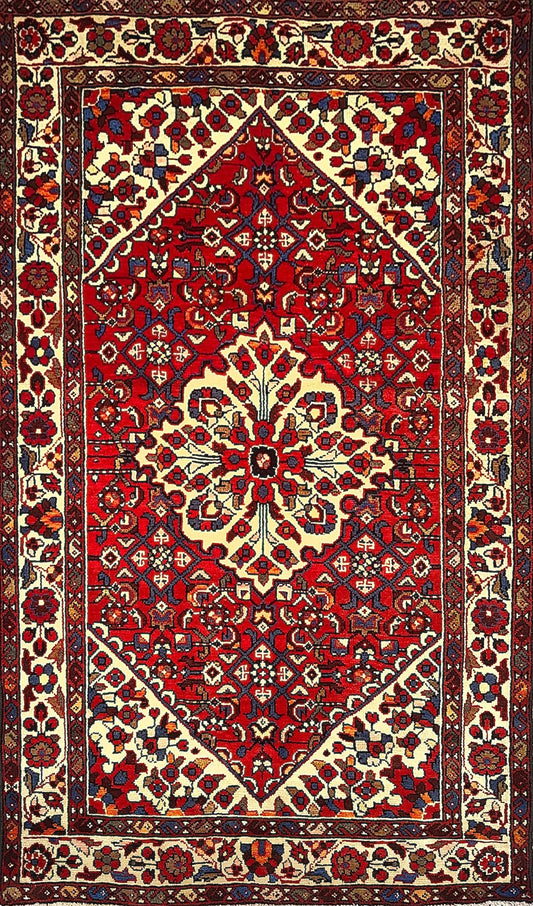Vintage Hamadan Rug – nan Aesthetic